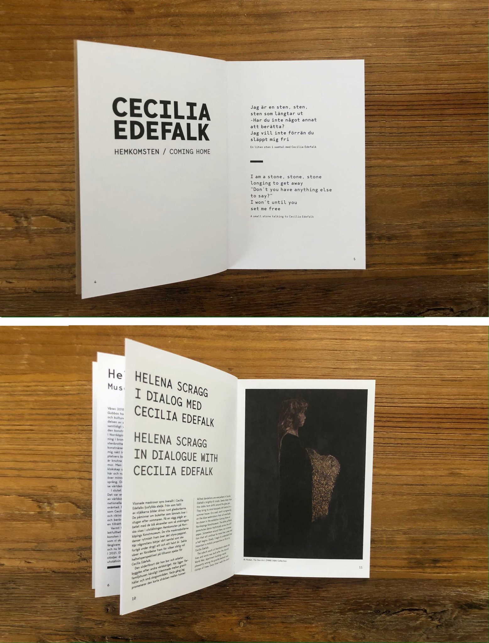 Cecilia Edefalk bok